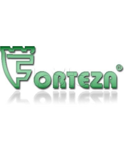 Плата сменная Forteza Плата БГр-4 в Подольске Устройства защиты операционных процессоров (ОПС) Pintop.ru