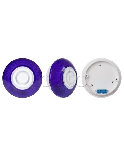 Оповещатель комбинированный SLT Марс 12-КП (строб, син) в Златоусте Оповещатели Pintop.ru